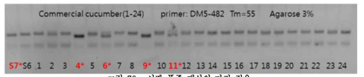 시판 품종 대상의 마커 적용.