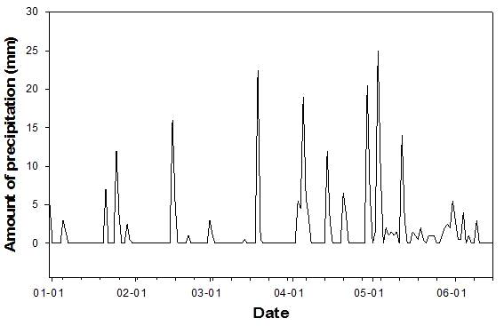 Amount of precipitation between 1 January to 15 June of tulip experiment field in Imjado, Shinan.