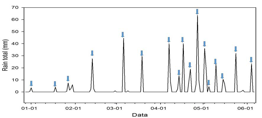 Amount of precipitation between 1 January to 6 June of tulip experiment field in Imjado, Shinan.