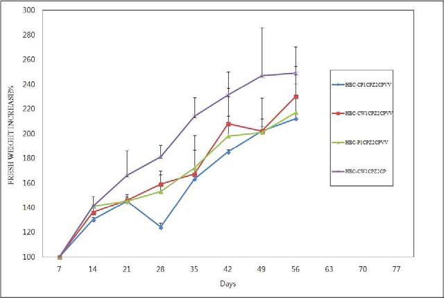 MS액체배지안 Auxin과 PVP의 조성에 따른 튤립의 배발생 캘러스 유도 및 갈변화 조사실험