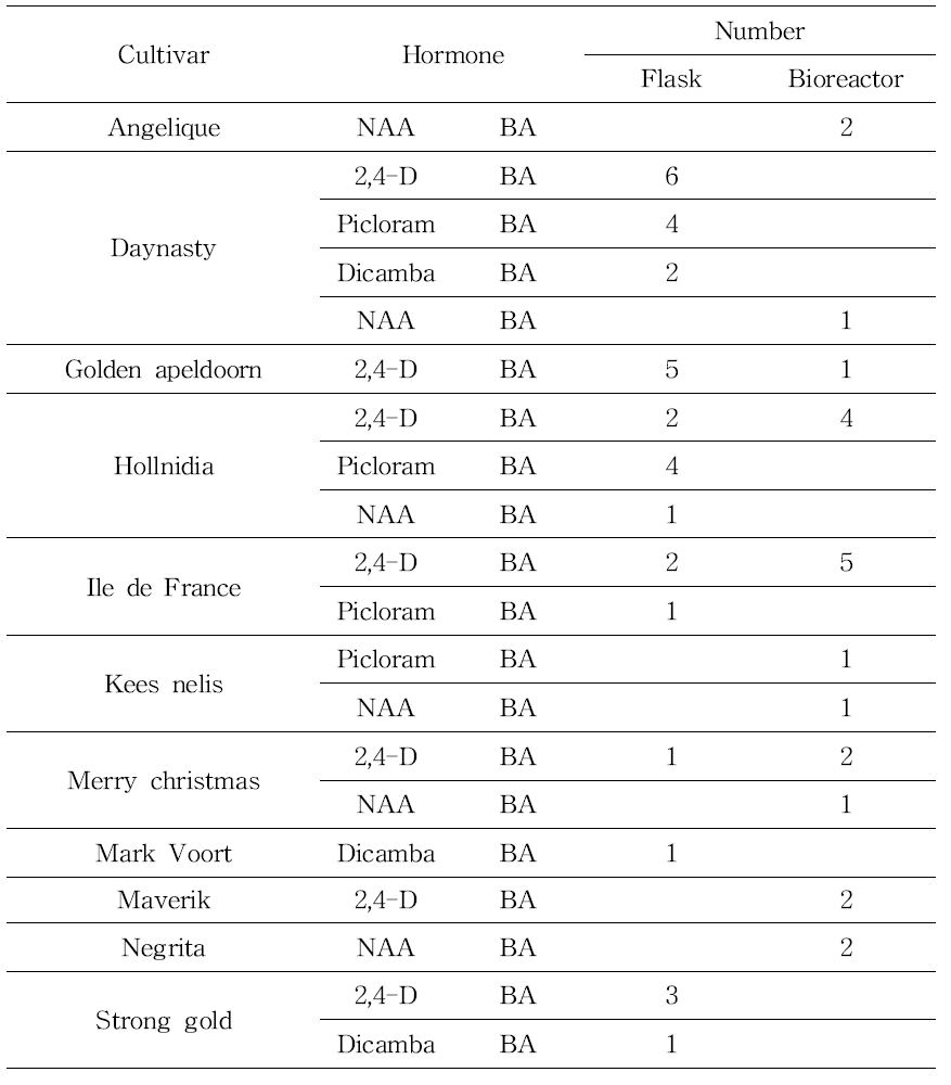 품종 및 호르몬 별 생물반응기 배양 현황