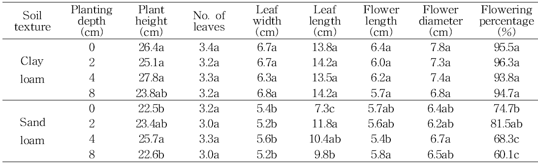 Effect of soli texture on shoot growth in tulip ‘Kees Nelis‘