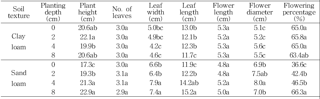 Effect of soli texture on shoot growth in tulip ‘Ile de France‘