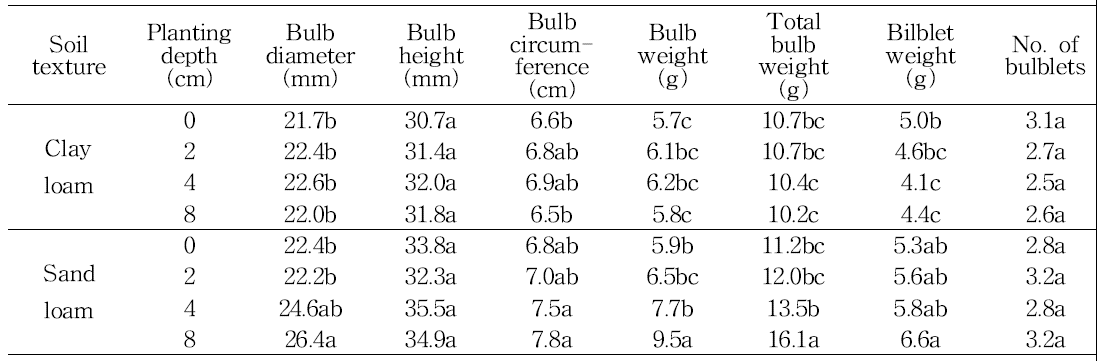 Effect of soli texture on bulb growth in tulip ‘Ile de France‘