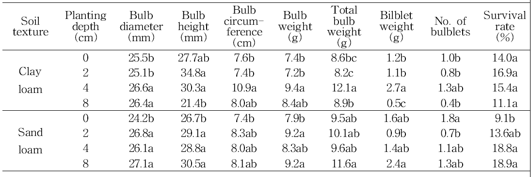 Effect of soli texture on bulb growth in tulip ‘Rundy‘