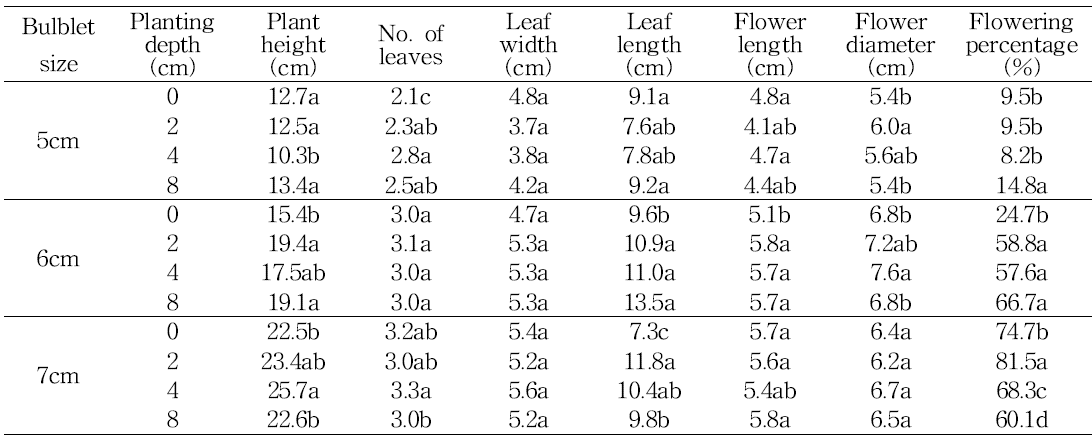 Effect of bulb size and planting depth on shoot growth in tulip ‘Kees Nelis‘