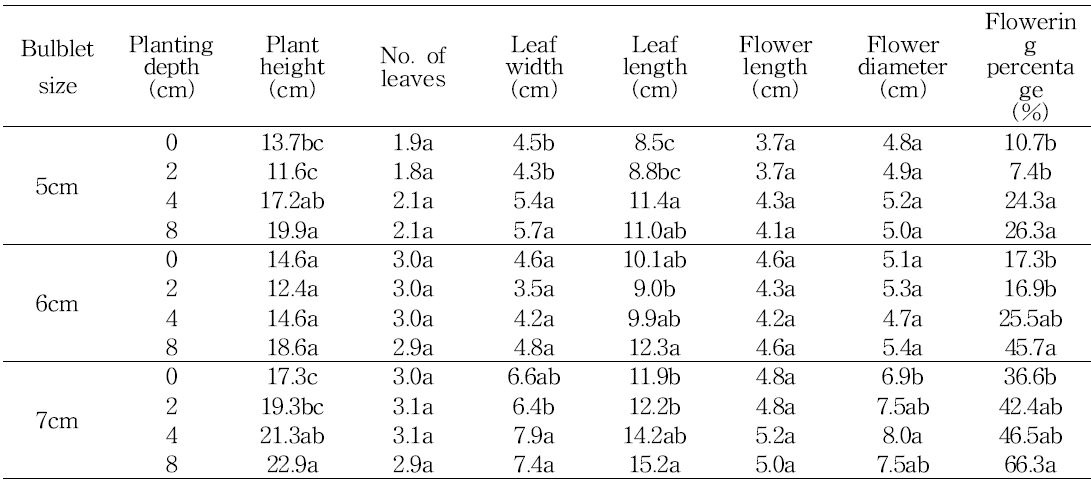 Effect of bulb size and planting depth on shoot growth in tulip ‘Ile de France‘
