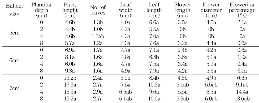 Effect of bulb size and planting depth on shoot growth in tulip ‘Rundy‘