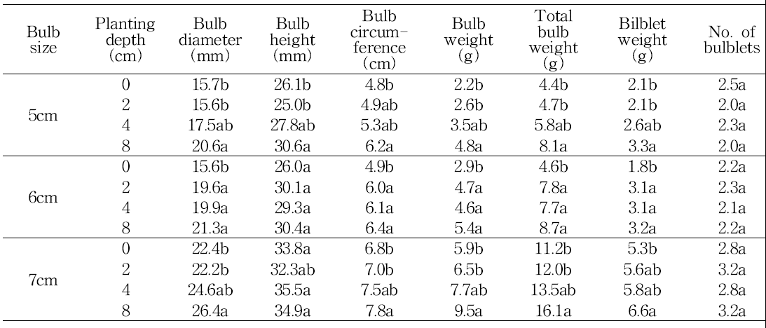 Effect of bulb size and planting depth on bulb growth in tulip ‘Ile de France‘