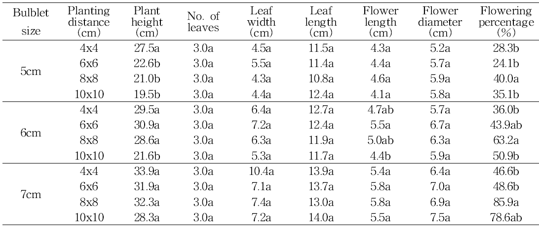 Effect of bulb size and planting distance on shoot growth in tulip ‘Ile de France‘
