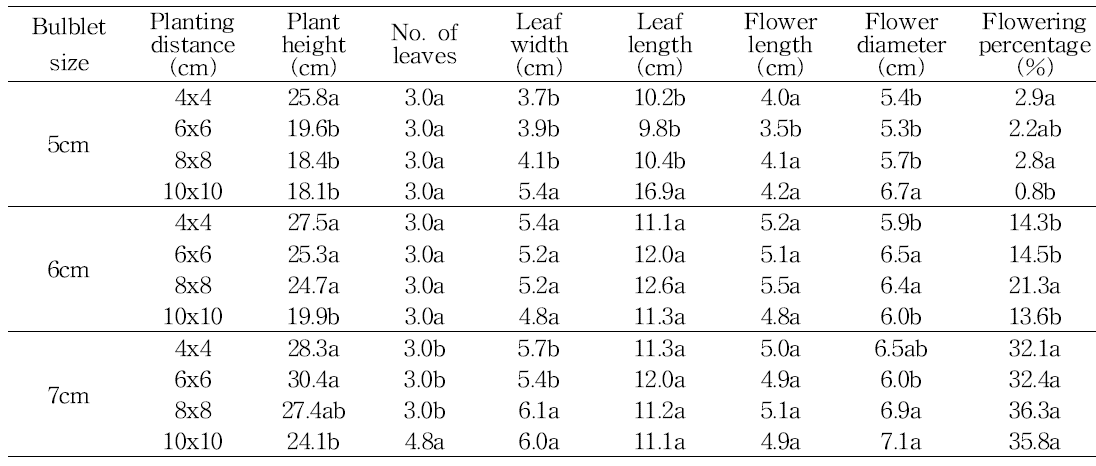 Effect of bulb size and planting distance on shoot growth in tulip ‘Petra‘.