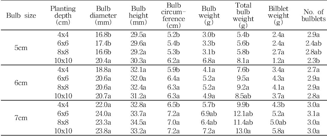 Effect of bulb size and planting distance on bulb growth in tulip ‘Ile de France‘