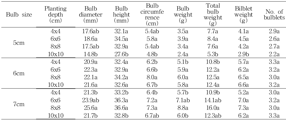 Effect of bulb size and planting distance on bulb growth in tulip ‘Petra‘