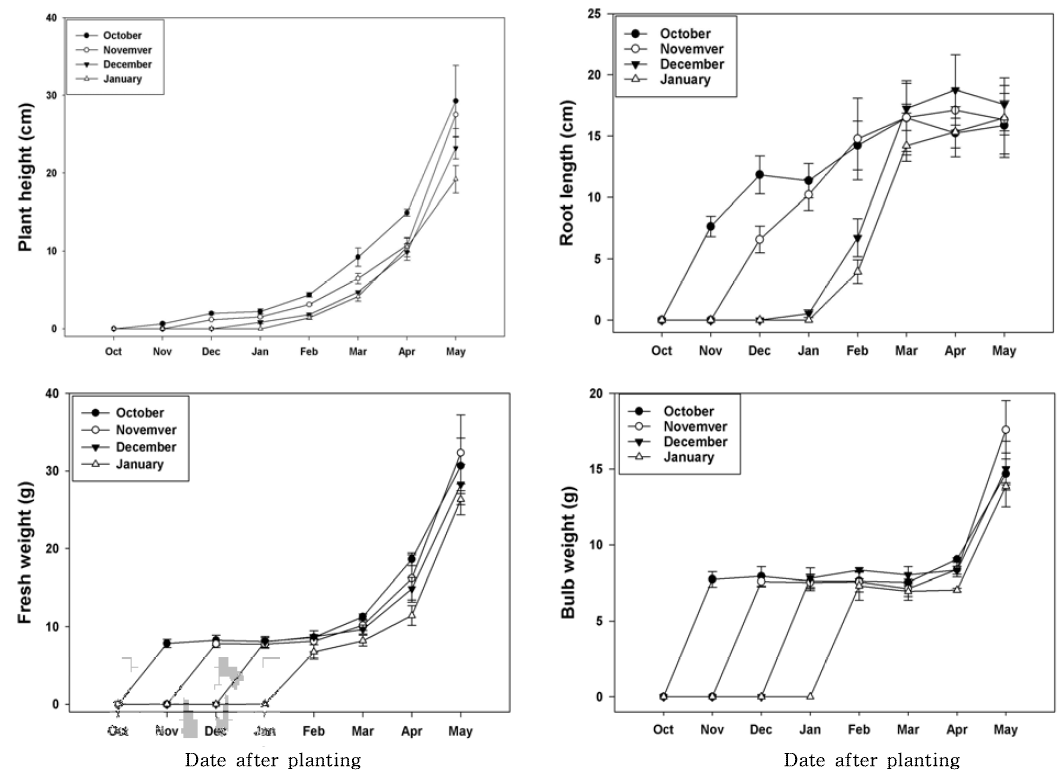 Changes of monthly growth according to planting time in tulip ‘Dreaming Maid‘.