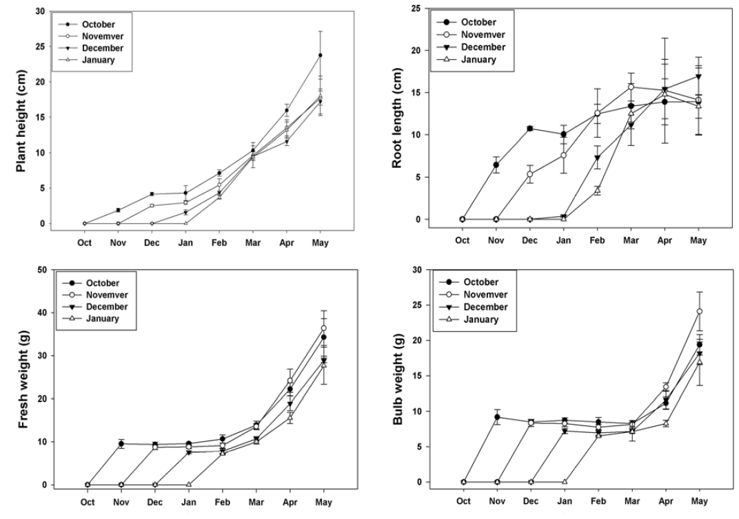 Changes of monthly growth according to planting time in tulip ‘Merry Christmas‘.