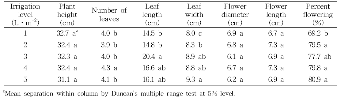 Effect of irrigation level on shoot growth during vegetative growth (between 1 and 31 March) in tulip ‘Negrita‘