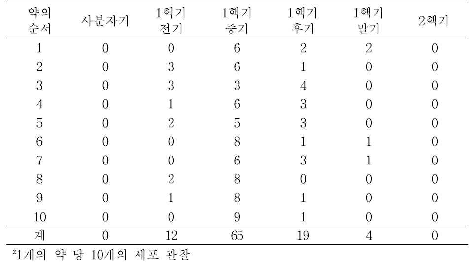 약배양 효율이 높은 약의 소포자 발달 단계 검경