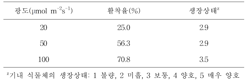 약배양 유래 당근 식물체의 기외활착에 미치는 광도의 영향