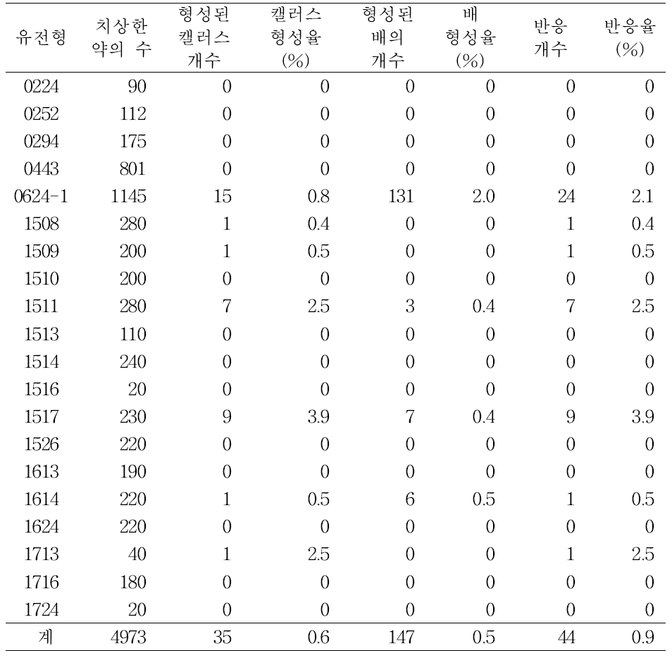 당근의 1차 약배양으로부터 배 형성 효율