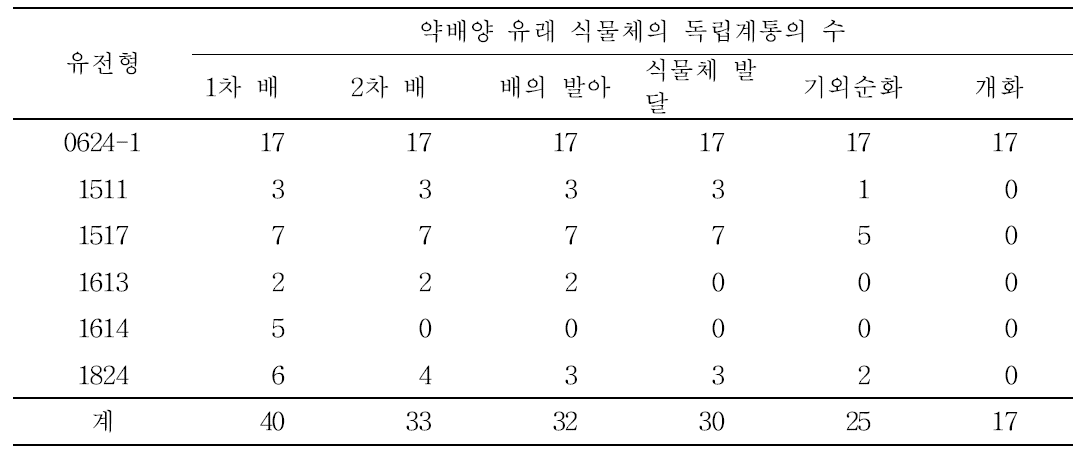 당근의 1차 약배양 유래 배로부터의 식물체 재생