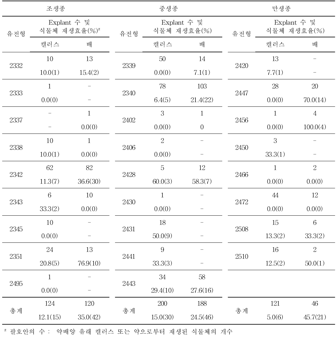 당근의 2차 약배양 유래 배와 캘러스로부터의 식물체 재생 효율