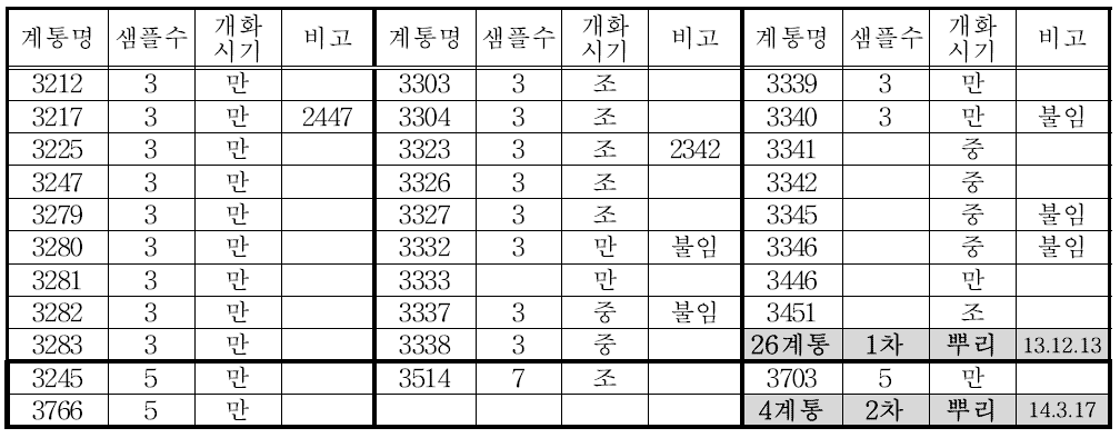 당근 3차 약 배양 분양 재료 (재료 분양일 : 1차 2013. 12. 13; 2차 14. 3. 17)