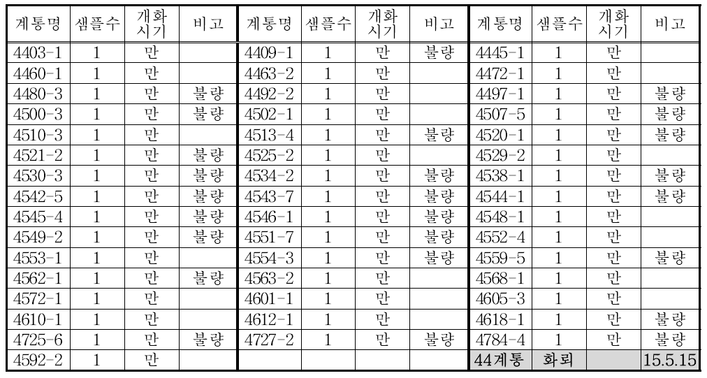 당근 4차 약배양 분양 재료 (재료 분양일 : 1차 2015. 5. 15; 2차 15. 6. 30)