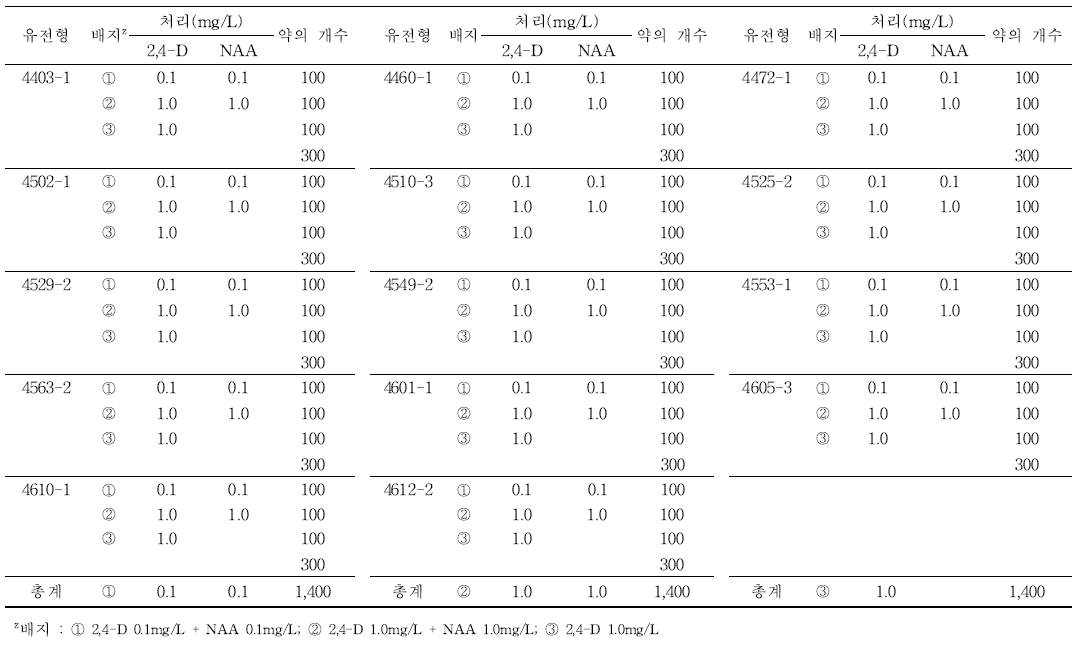 당근의 4차 약배양 현황