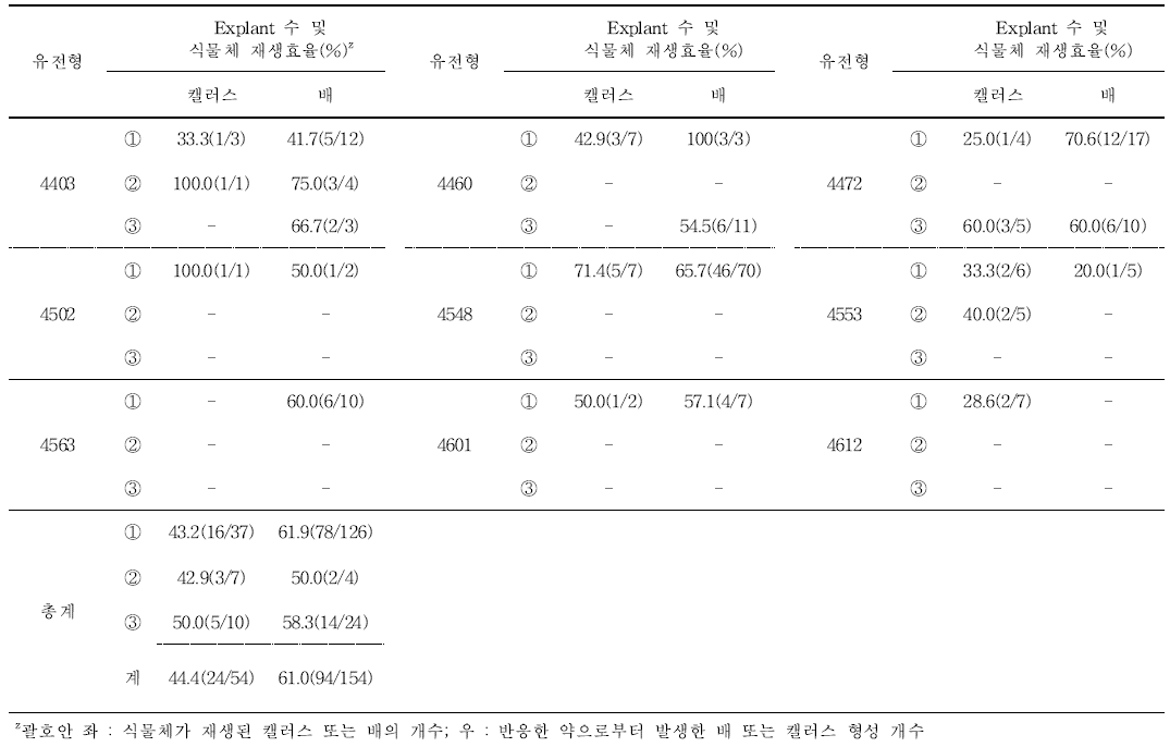 당근 4차 약배양 유래 배와 캘러스로부터 식물체 재생 효율