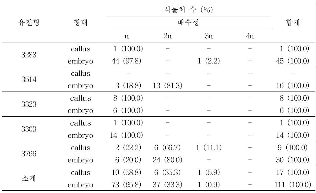 당근 약배양 유래 식물체의 배수성 분석