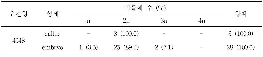 당근 약배양 유래 식물체의 배수성 분석