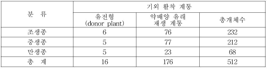 당근 2차 약배양 유래 식물체의 기외 활착 계통