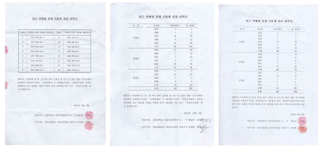 당근 2차 약배양 유래 식물체 3년차 1차 (2014년 12월 4일) 및 2차(2015년 3월 16일) 전달