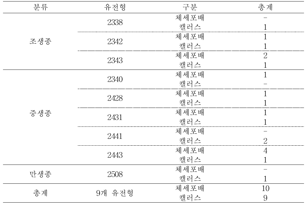 당근 약배양 유래 식물체의 뿌리를 이용한 캘러스 유도 및 식물체 재생