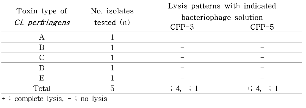 Clostridium perMngens 표준주에 대한 선발된 박테리오파지 혼합액의 효능 평가