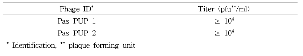 Pasteurella multocida에 대한 후보 박테리오파지별 역가