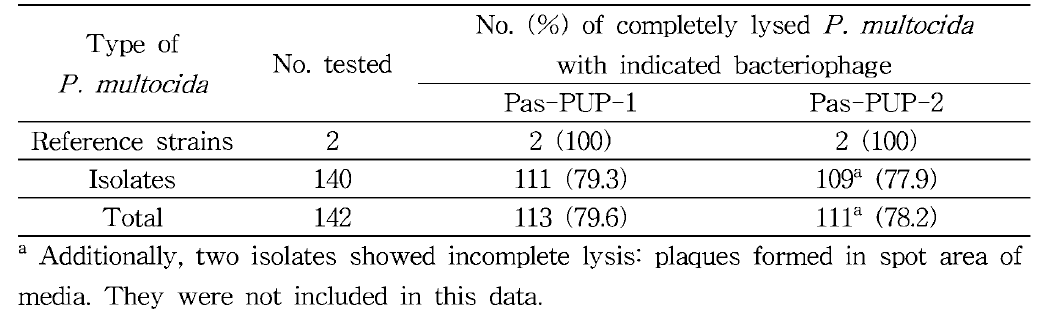Pasteurella multocida6특 대 한 후보 박테 리오파지 의 효능 평 가