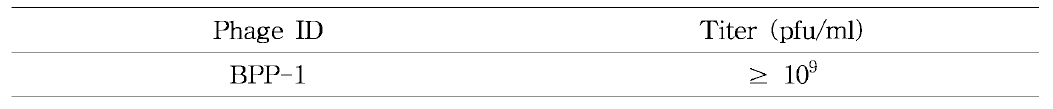 B . bronchiseptica 후보 박테리오파지 역가