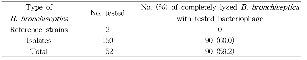 B . bronchiseptica 에 대한 선발된 박테리오파지 용액의 효능 평가