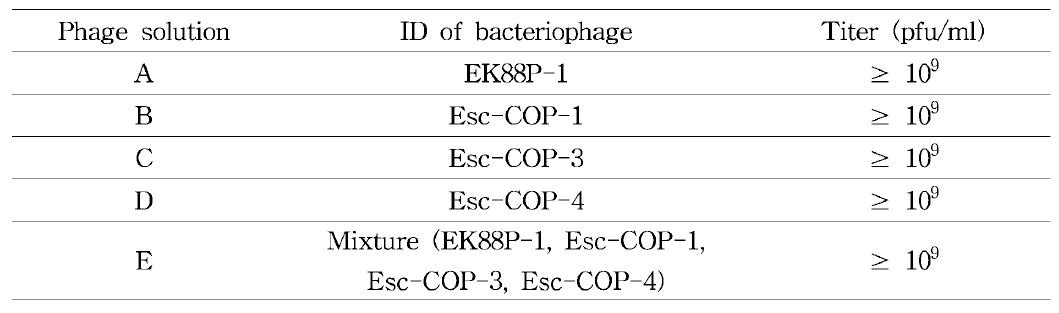 부종병 후보 박테리오파지 용액 및 역가
