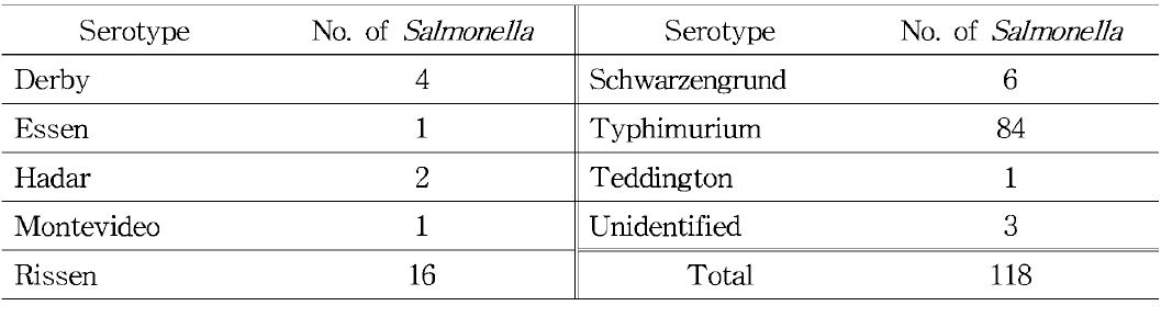 다재내성 살모넬라의 혈청형 동정 결과