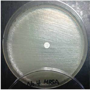 세폭시틴 (30 ug)을 이용한 MRSA 표현형 확인