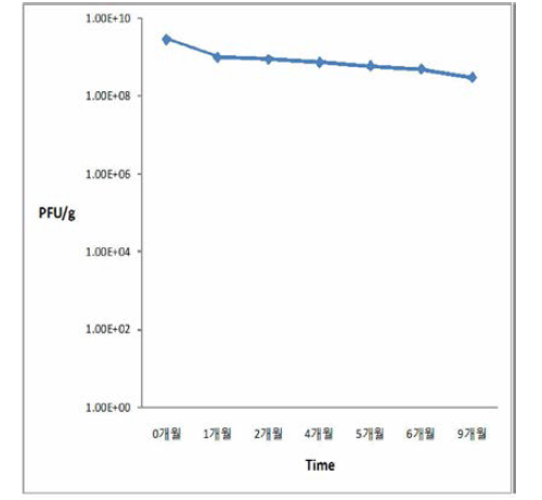 Salmonella typhimurium bacteriophage long-term stability