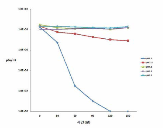 Salmonella enteritidis bacteriophage pH stability