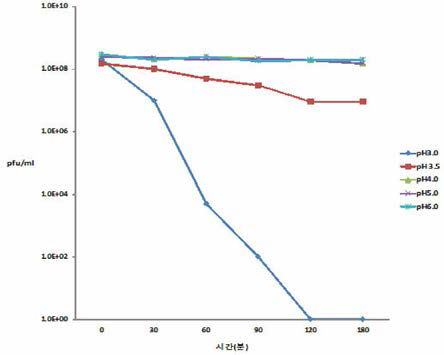 Salmonella dublin bacteriophage pH stability