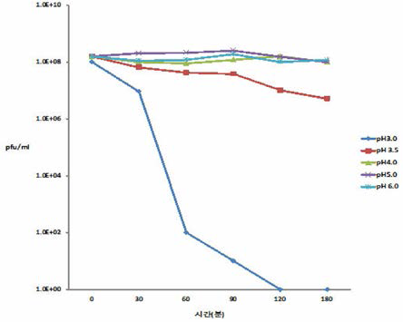 Salmonella derby bacteriophage pH stability