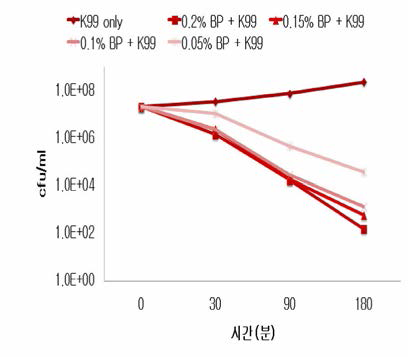 Effect of E. coli K99 bacteriophage