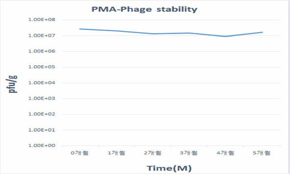 Pasteurella multocida type A bacteriophag 의 장7l 안정성