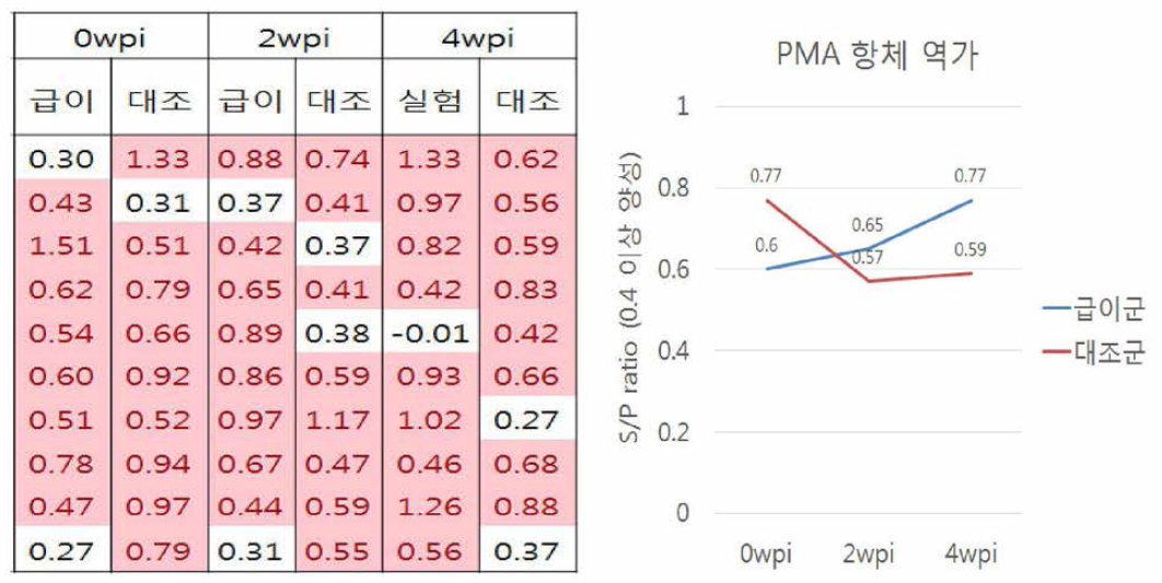 PMA 항체 역가