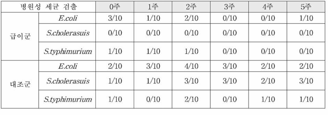 PCR 검사